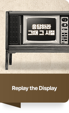 Replay the Display